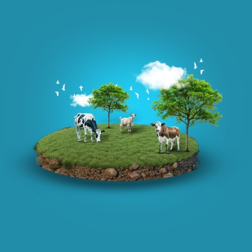 Qurbani – Iraq 2026